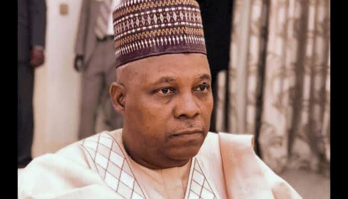 Oscars Awards: VP Shettima  Rallies Support For Nigeria’s Entry