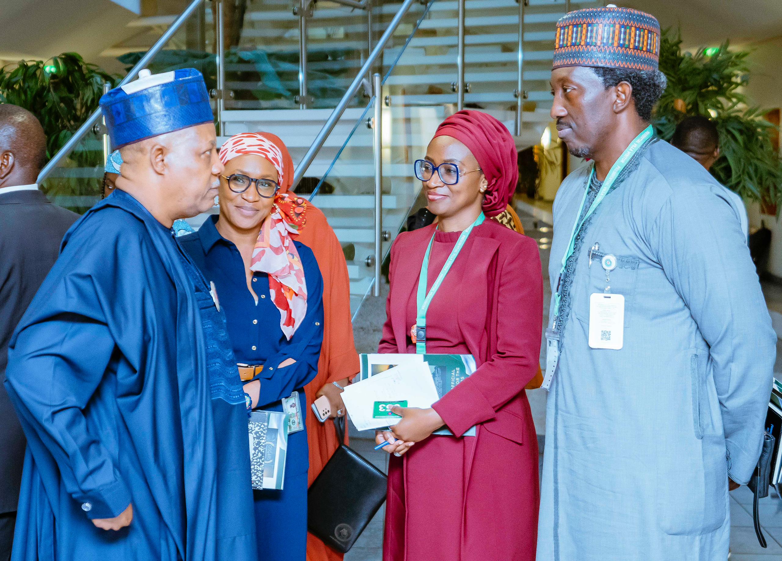 VP Shettima pledges support for Nigeria’s Oscars campaign, Mai Martaba