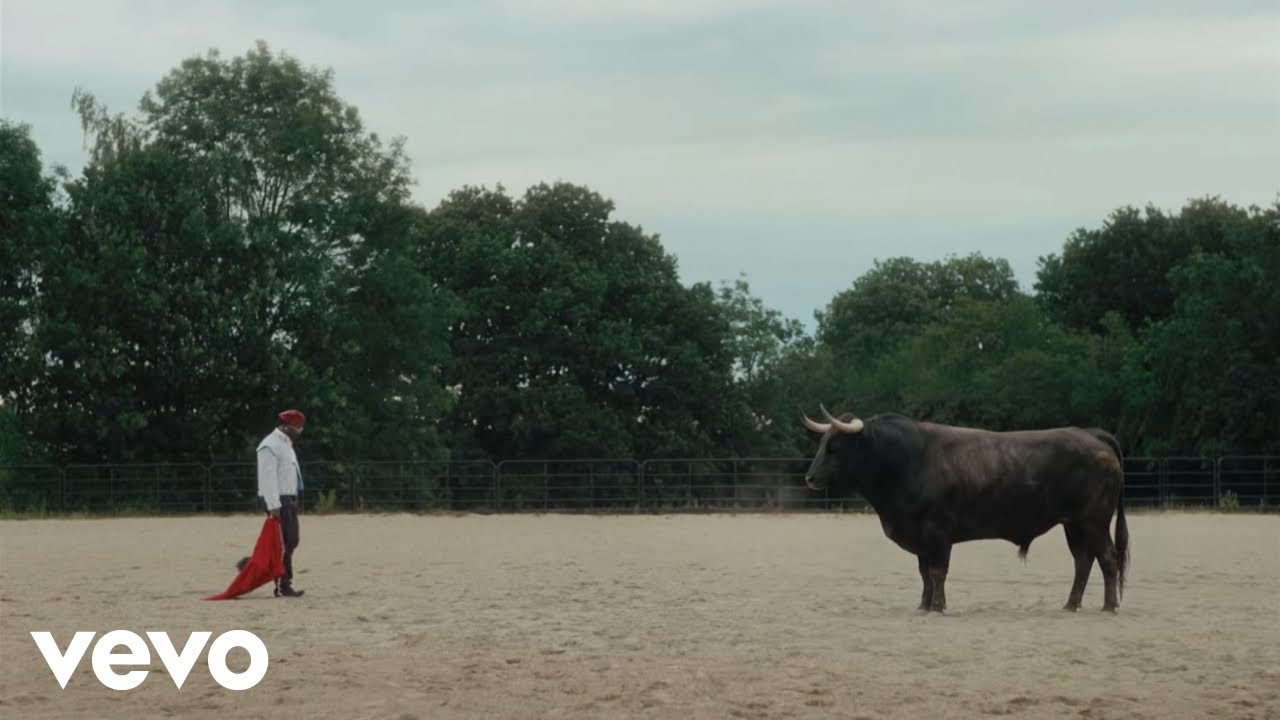 Asake Trades City Lights for Castles and Bulls in His New “MCBH” Video